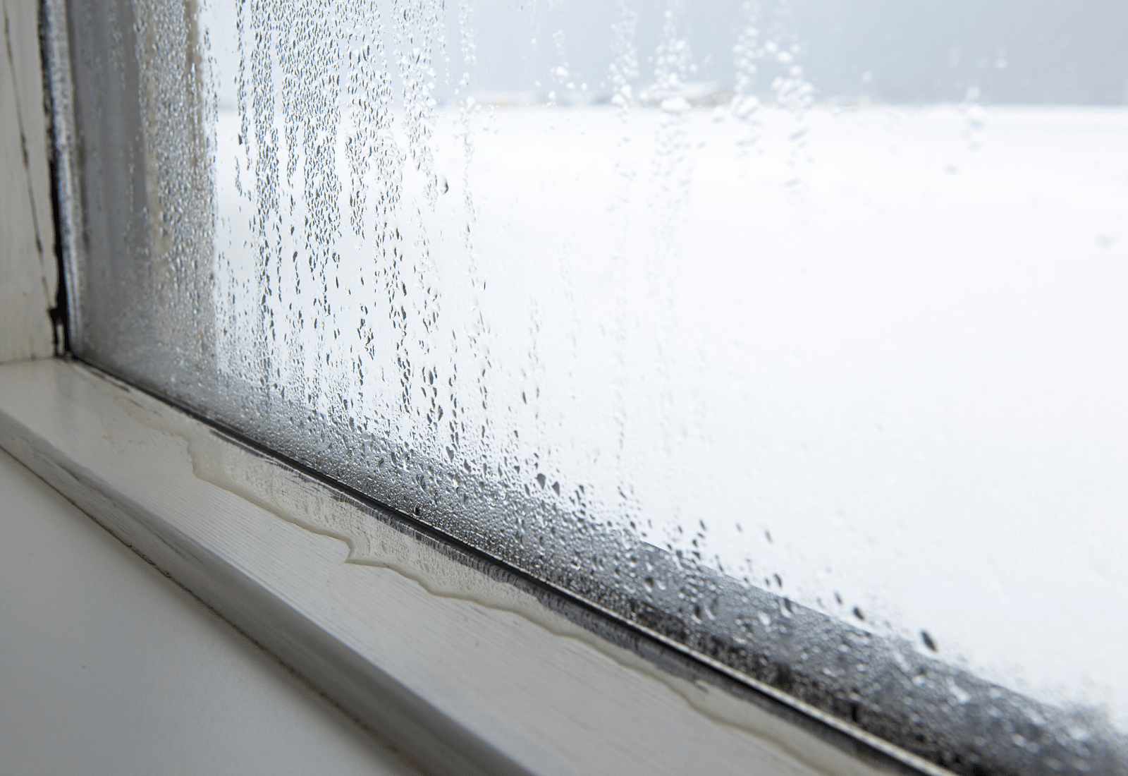 Understanding Window Condensation: Effects, Prevention & More